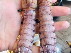 -老虎滩船说·海胆水饺·大连海鲜(老虎滩店)