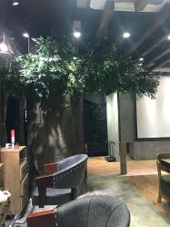 -V-STAR威斯达•高级私人定制