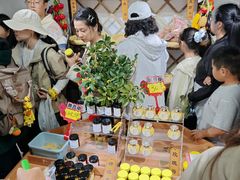 -苏州市吴中区光福窑上花果蜜饯厂