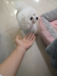 -肌理言健康美肌驻颜所