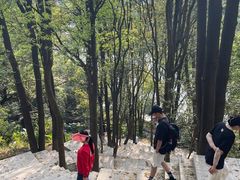 -火炉山森林公园