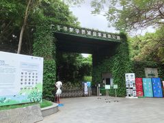 -华侨城湿地公园