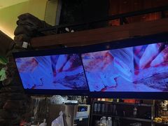 -三强鸽子(中原路店)