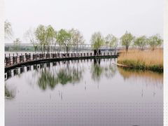 -绿堤公园