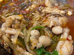 -鸿顺老铁锅美蛙鱼府(解放碑店)