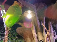 -正佳雨林生态植物园