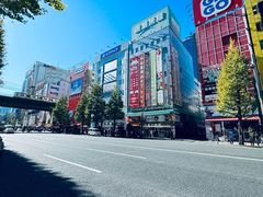 -秋叶原电器街