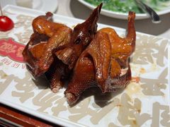 -大鸽饭(岗顶店)
