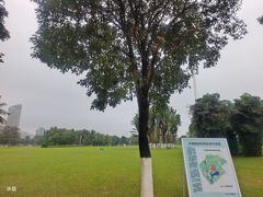 -万绿园