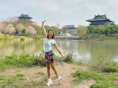 -海珠湖公园