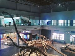 -自贡恐龙博物馆