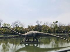 -上海海湾国家森林公园