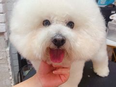 -Goku PET SHOP宠物视觉生活馆(双井店)