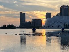 -金沙湖公园
