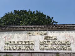 -观潮胜地公园