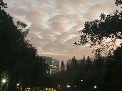 -深圳龙潭公园