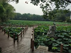 -江苏科技大学(梦溪校区)