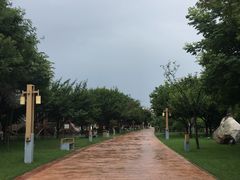 -唐城墙遗址公园