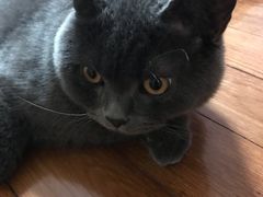 -爱侣宠医·鹦鹉专科·小型哺乳类·异宠专科(灵石路店)