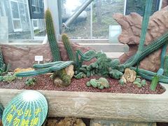 -南通洲际绿博园