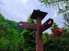 -凤栖山