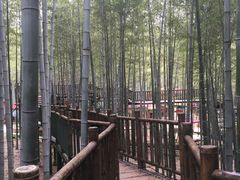 -陶祖圣境风景区