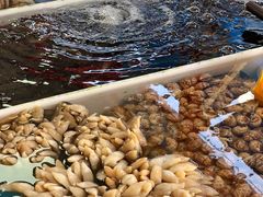 -南沙十九涌渔人码头-南门