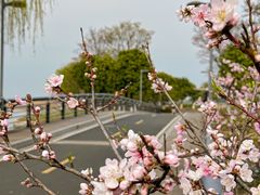-阳澄湖半岛旅游度假区