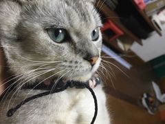 -白箱照相馆·外拍