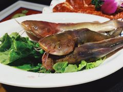 -大龙燚火锅(春熙店)