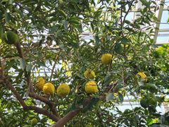 -国家植物园南园