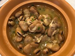 鸡汁发芽豆-骏莱海鲜鱼港(五角场店)