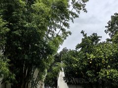 -古隆中景区