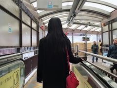 -中环半山扶手电梯