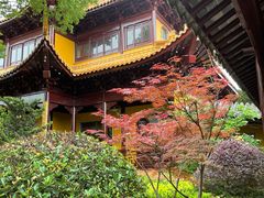 -圆通寺