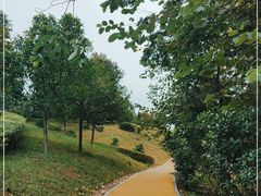 -中国移动南方基地