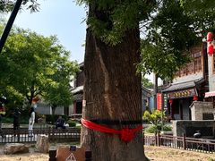 -青州古城