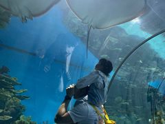 -福州罗源湾海洋世界旅游区