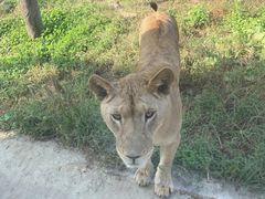 -西安秦岭野生动物园