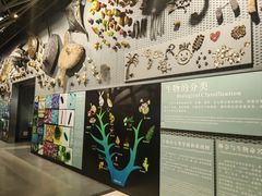 -浙江自然博物院(杭州馆)