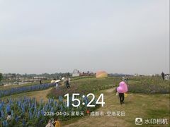 -空港花田景区