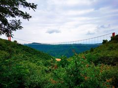 -铜川市金锁关石林