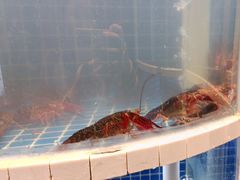 -指爱龙虾(金杨路总店)