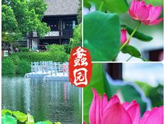 -无锡蠡湖国家湿地公园-蠡园