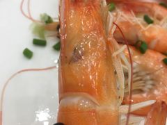 -洲晓鲜·舟山海鲜大排档(朱家尖风景区店)
