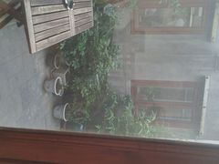 android_upload_pic-铃木食堂(帽儿胡同店)
