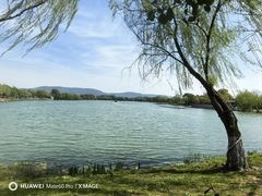 -尚湖风景区