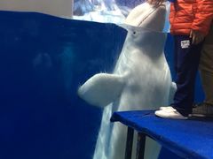 -福州罗源湾海洋世界旅游区