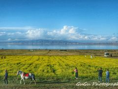 -青海湖国家重点风景名胜区