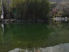 -蝴蝶泉公园